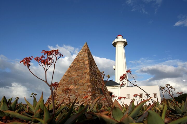 Port Elizabeth Safari and City Tour from Gqeberha - Photo 1 of 24